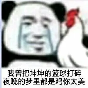 我曾把坤坤的篮球打碎.夜晚的梦里都是鸡你太美