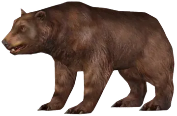 Cave Bear (FMM UV-32)