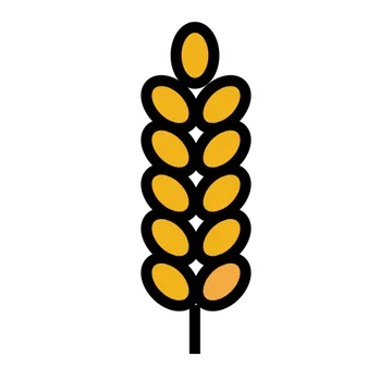 Sheaf of rice