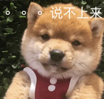 说不上来