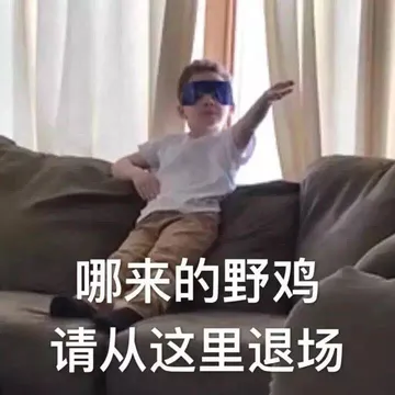 哪来的野鸡请从这里退场（假笑男孩 Gavin）