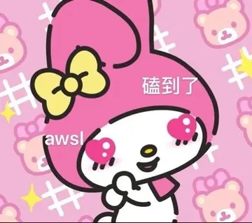 磕到了aws