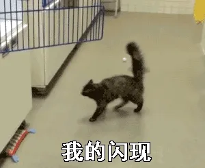 我的闪现