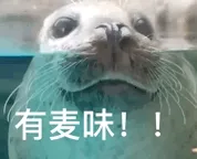有麦味!
