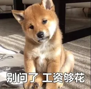 中国春节00051-别问了工资够花