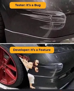 It's Not A Bug, It's A Feature