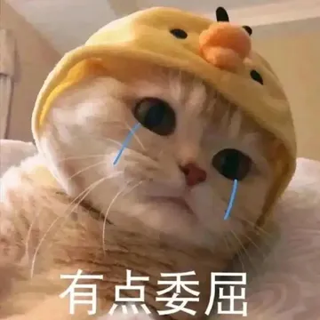 有点委屈