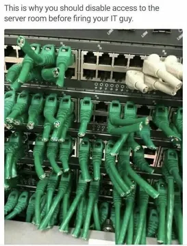 Revenge Is A Dish Best Served With Ethernet Cables
