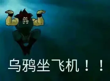乌鸦坐飞机