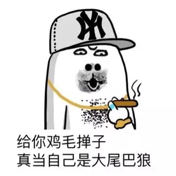 给你鸡毛掸子，真当自己是大尾巴狼！