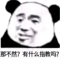 那不然？有什么指教吗？