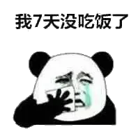 我7天没吃饭了