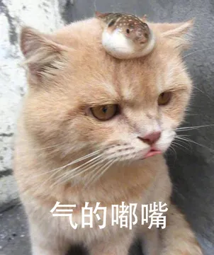 气的嘟嘴