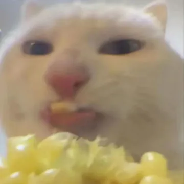 小猫吃玉米表情包