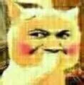嘿嘿(猫猫)