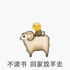 不读书.回家放羊去