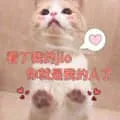 是喵星人啦00048-看了我的脚你就是我的人了猫