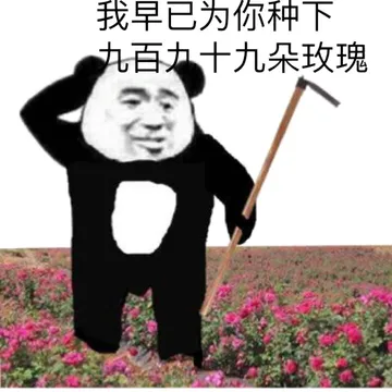 我早已为你种下九百九十朵玫瑰了（520情人节）