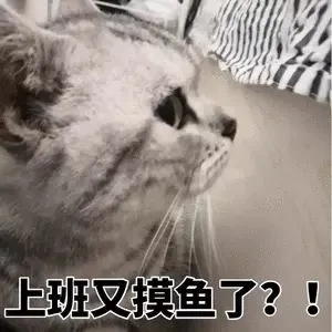 上班又的了?