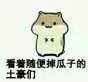 看着随便掉瓜子的土豪们