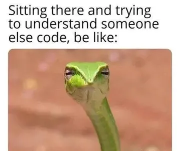 Also Me Trying To Understand My Own Code