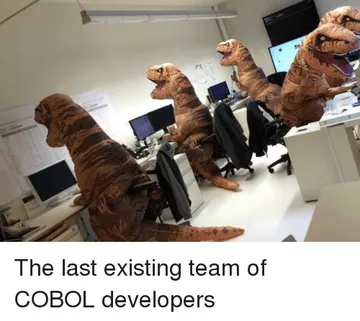 Programmer Humor, Team, and Cobol