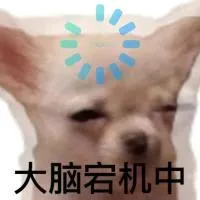 大脑岩机中