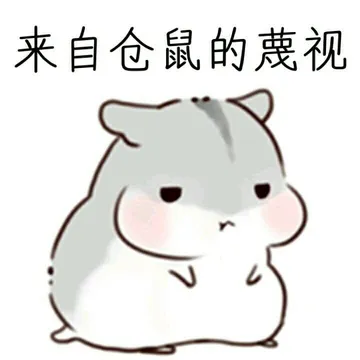 来自仓鼠的蔑视
