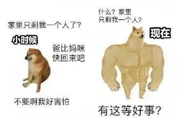 肌肉狗VS小废狗表情包