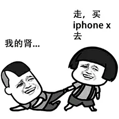 走,买 iphone x，去我的肾