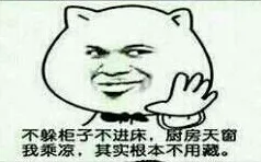 不躲柜子不进床，厨房天窗我乘凉，其实根本不用藏