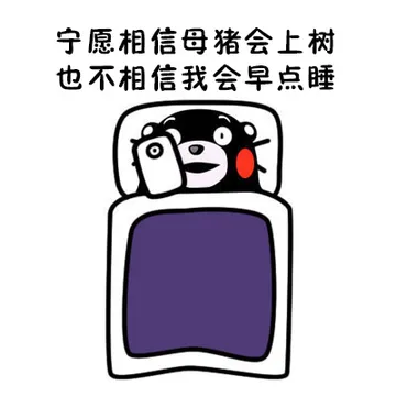 宁愿相信母猪会上树 也不相信我会早点睡