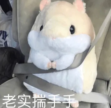 老实揣手手
