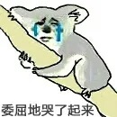 抱树:委屈的哭了起来