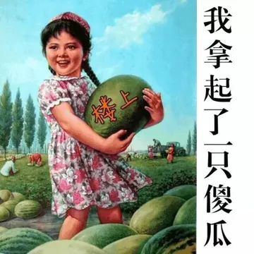我拿起了一只傻瓜