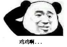 鸡鸡呢?(熊猫人挠头)