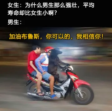一个狗子骑摩托人带着两个男人的表情包（加油布鲁斯）