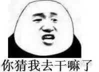 你猜我去干吗了