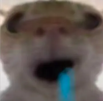 和平地铁猫猫鼠鼠表情包