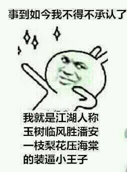 事到如今我不得承认了，我就是江湖人称玉树临风胜潘安，一枝梨花压海棠的装逼小王子