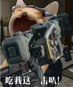 你有哪些好玩的《三角洲行动》表情包?