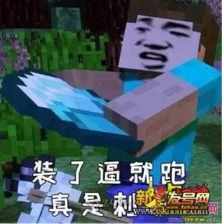 我的世界 memes