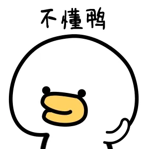不懂鸭
