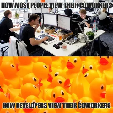 Quack Your Problems Away