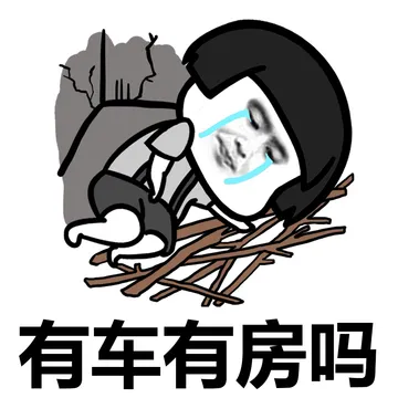 有车有房吗
