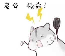 老公，救命！