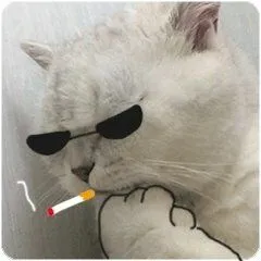抽根烟啊