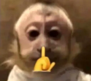 猴子嘘嘘闭嘴表情包