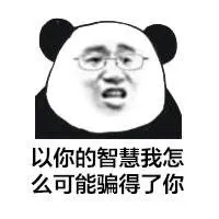 以你的智慧我怎么可能骗得了你