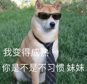 我变得成熟 你是不是不习惯 妹妹
